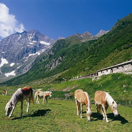 Hildegard Apartment Neustift im Stubaital