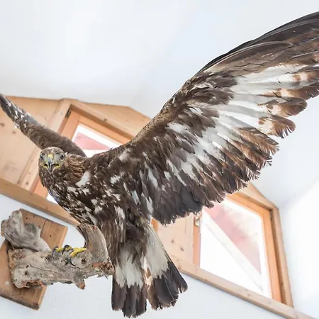 Hildegard Apartamento