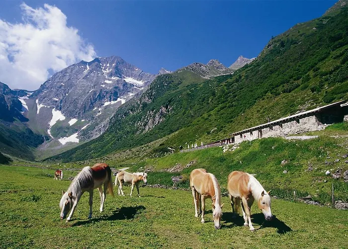 Hildegard Apartment Neustift im Stubaital