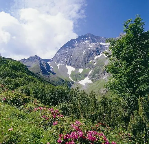 Hildegard * Нойштифт-им-Штубайталь