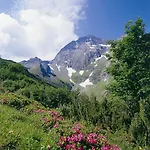 Hildegard * Neustift im Stubaital