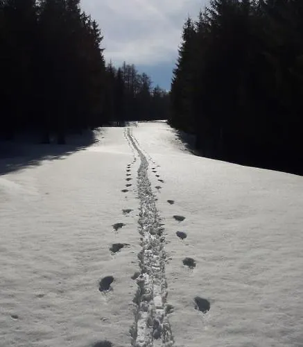 Apartamento Hildegard *